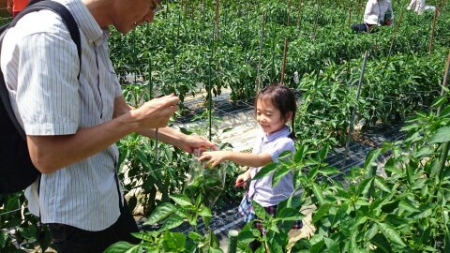 第１回わくわく農業体験