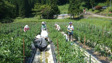 第１回わくわく農業体験