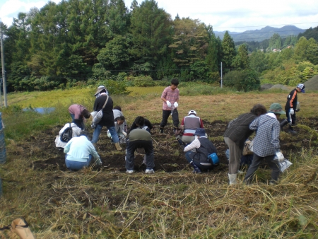 第2回 わくわく農業体験