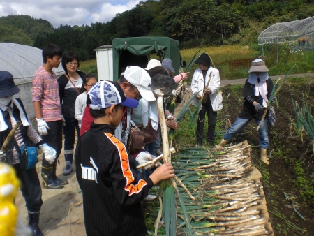 第2回 わくわく農業体験