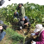 さといも善光寺