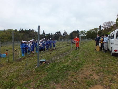 ２分の１成人式