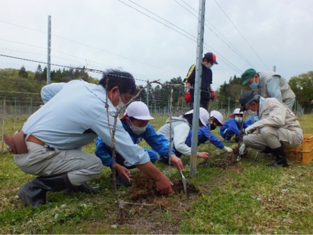 ２分の１成人式