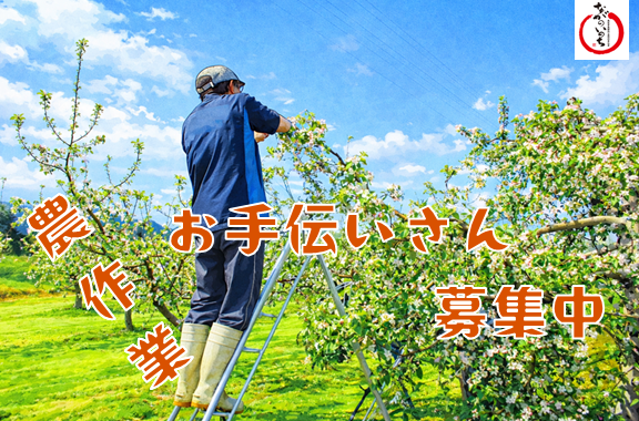 秋期農作業「お手伝いさん」募集中
